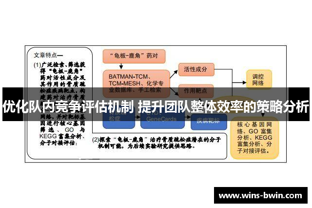 优化队内竞争评估机制 提升团队整体效率的策略分析