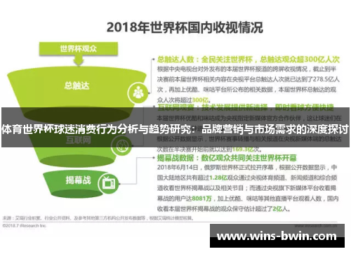 体育世界杯球迷消费行为分析与趋势研究：品牌营销与市场需求的深度探讨