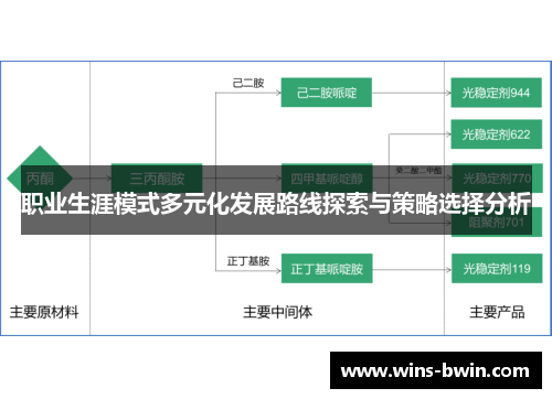 职业生涯模式多元化发展路线探索与策略选择分析