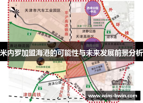 米内罗加盟海港的可能性与未来发展前景分析