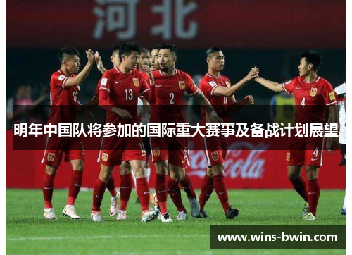 明年中国队将参加的国际重大赛事及备战计划展望