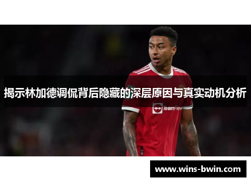 揭示林加德调侃背后隐藏的深层原因与真实动机分析